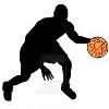 logo basketbol